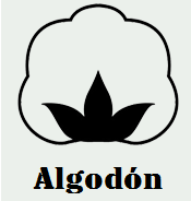 Algodão